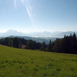 Hongarkreuz