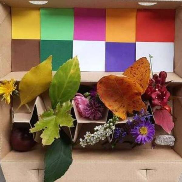 Herbstlicher Farbenspaß